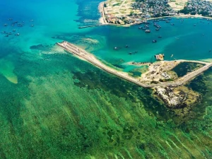 Tour Đà Nẵng Lý Sơn 2 ngày 1 đêm