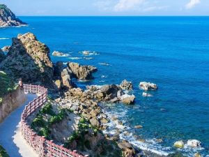 Tour Quy Nhơn - Kỳ Co Eo Gió 1 ngày