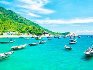 Tour Cu Lao Chàm - Hội An 1 ngày